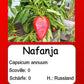 Nafanja DER TOMATENFLÜSTERER