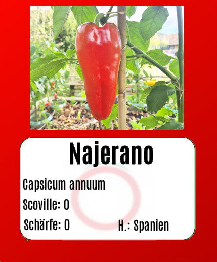 Najerano DER TOMATENFLÜSTERER