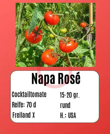 Napa Rosé DER TOMATENFLÜSTERER