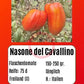 Nasone del Cavallino DER TOMATENFLÜSTERER