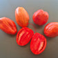 Nasone del Cavallino DER TOMATENFLÜSTERER