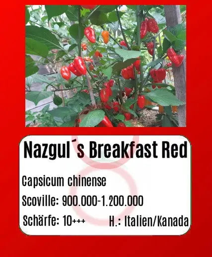 Nazgul´s Breakfast Red F7 DER TOMATENFLÜSTERER