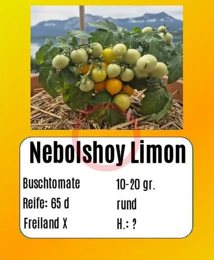 Nebolshoy Limon DER TOMATENFLÜSTERER