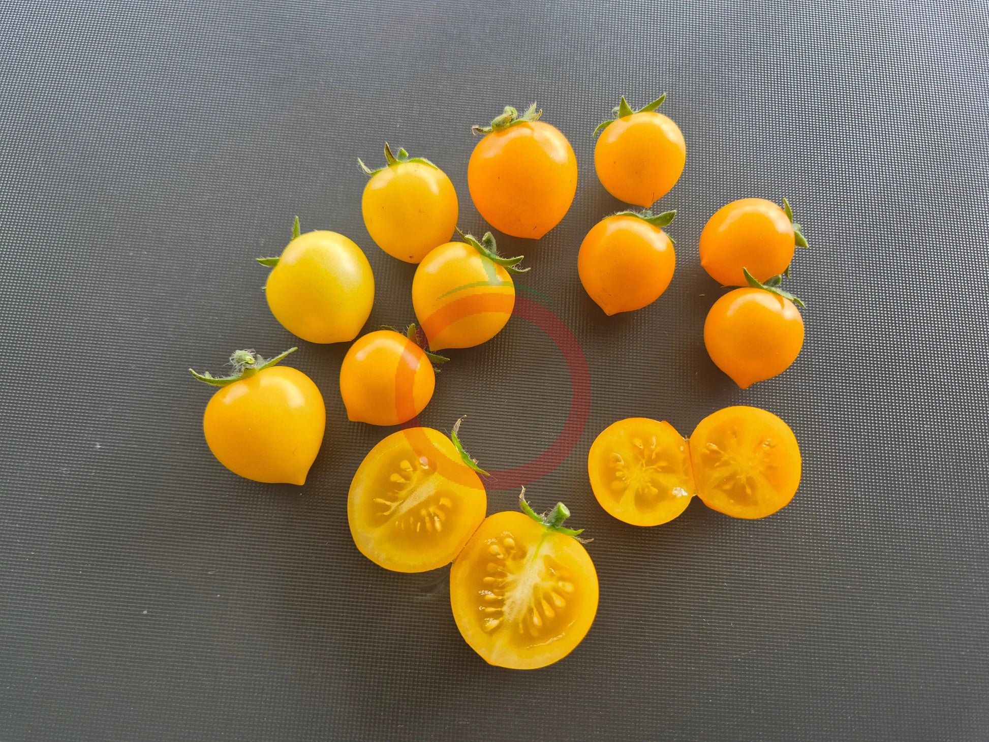 Nebolshoy Limon DER TOMATENFLÜSTERER