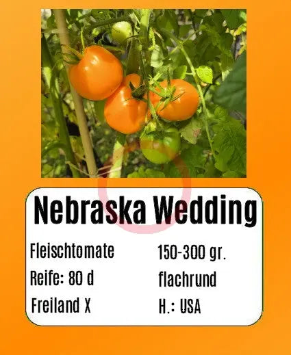 Nebraska Wedding DER TOMATENFLÜSTERER