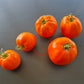 Nebraska Wedding DER TOMATENFLÜSTERER
