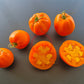 Nebraska Wedding DER TOMATENFLÜSTERER