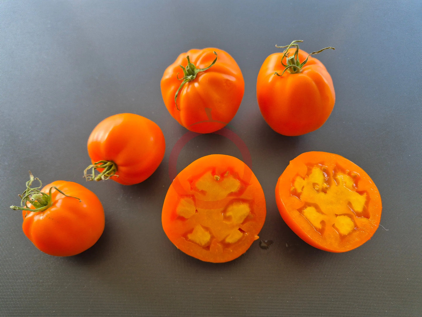 Nebraska Wedding DER TOMATENFLÜSTERER