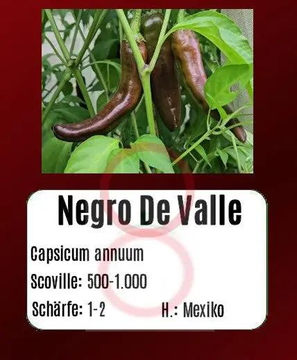 Negro De Valle DER TOMATENFLÜSTERER