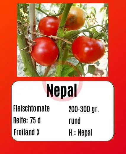 Nepal DER TOMATENFLÜSTERER