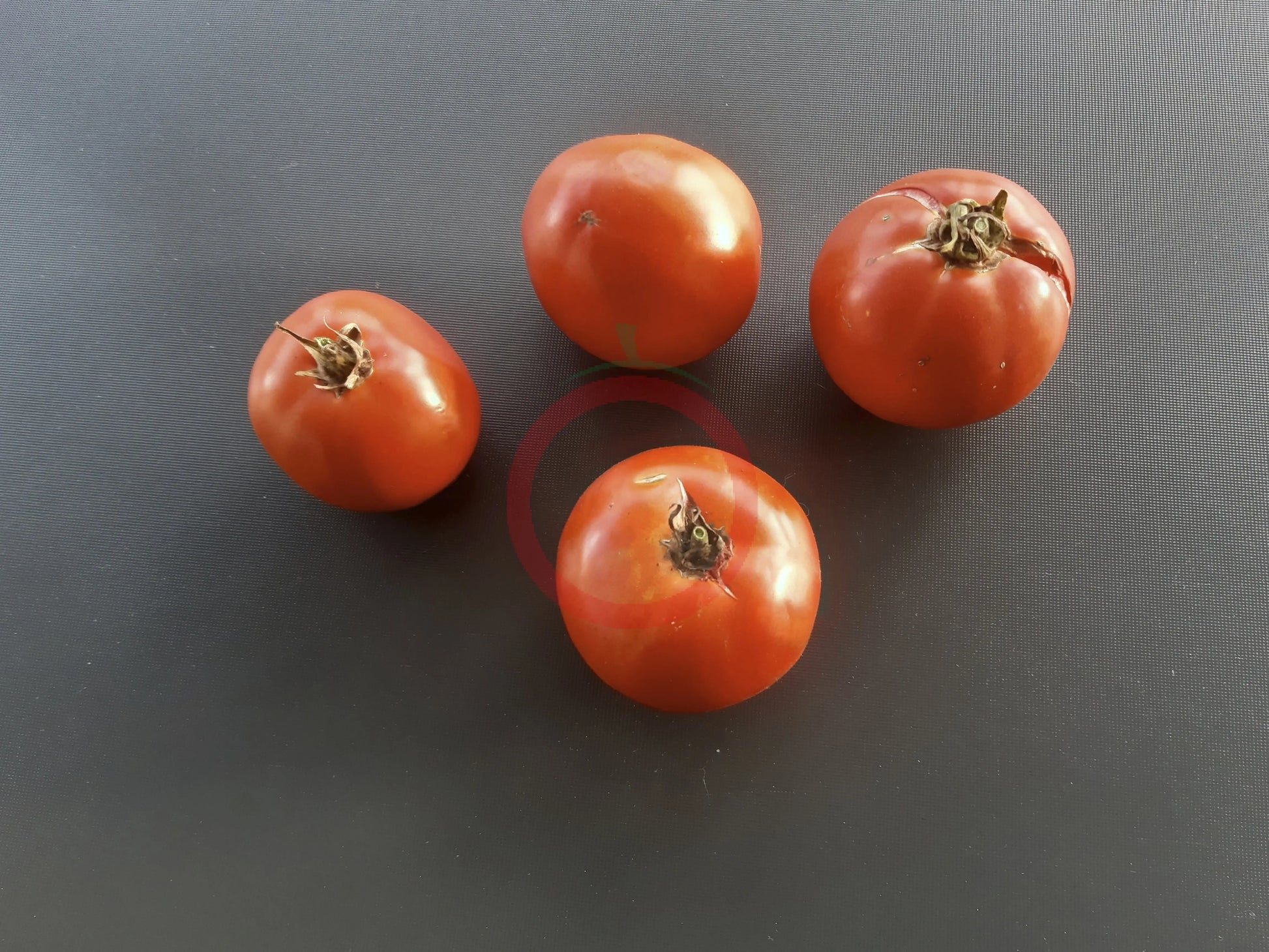 Nepal DER TOMATENFLÜSTERER
