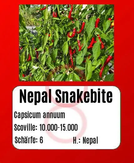Nepal Snakebite DER TOMATENFLÜSTERER