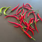 Nepal Snakebite DER TOMATENFLÜSTERER