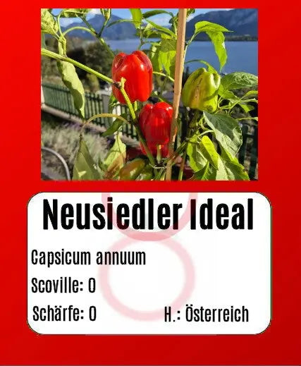 Neusiedler Ideal DER TOMATENFLÜSTERER