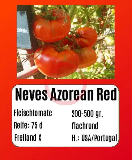 Neves Azorean Red DER TOMATENFLÜSTERER