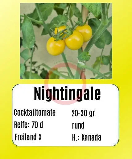 Nightingale DER TOMATENFLÜSTERER