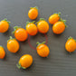 Nikolayev Yellow Cherry DER TOMATENFLÜSTERER