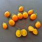 Nikolayev Yellow Cherry DER TOMATENFLÜSTERER