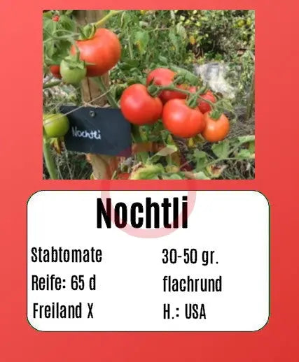Nochtli DER TOMATENFLÜSTERER
