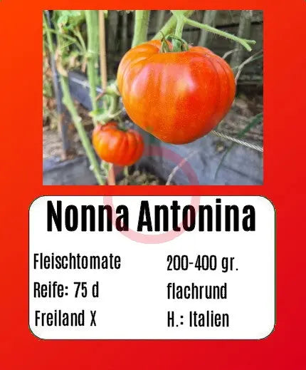 Nonna Antonina DER TOMATENFLÜSTERER
