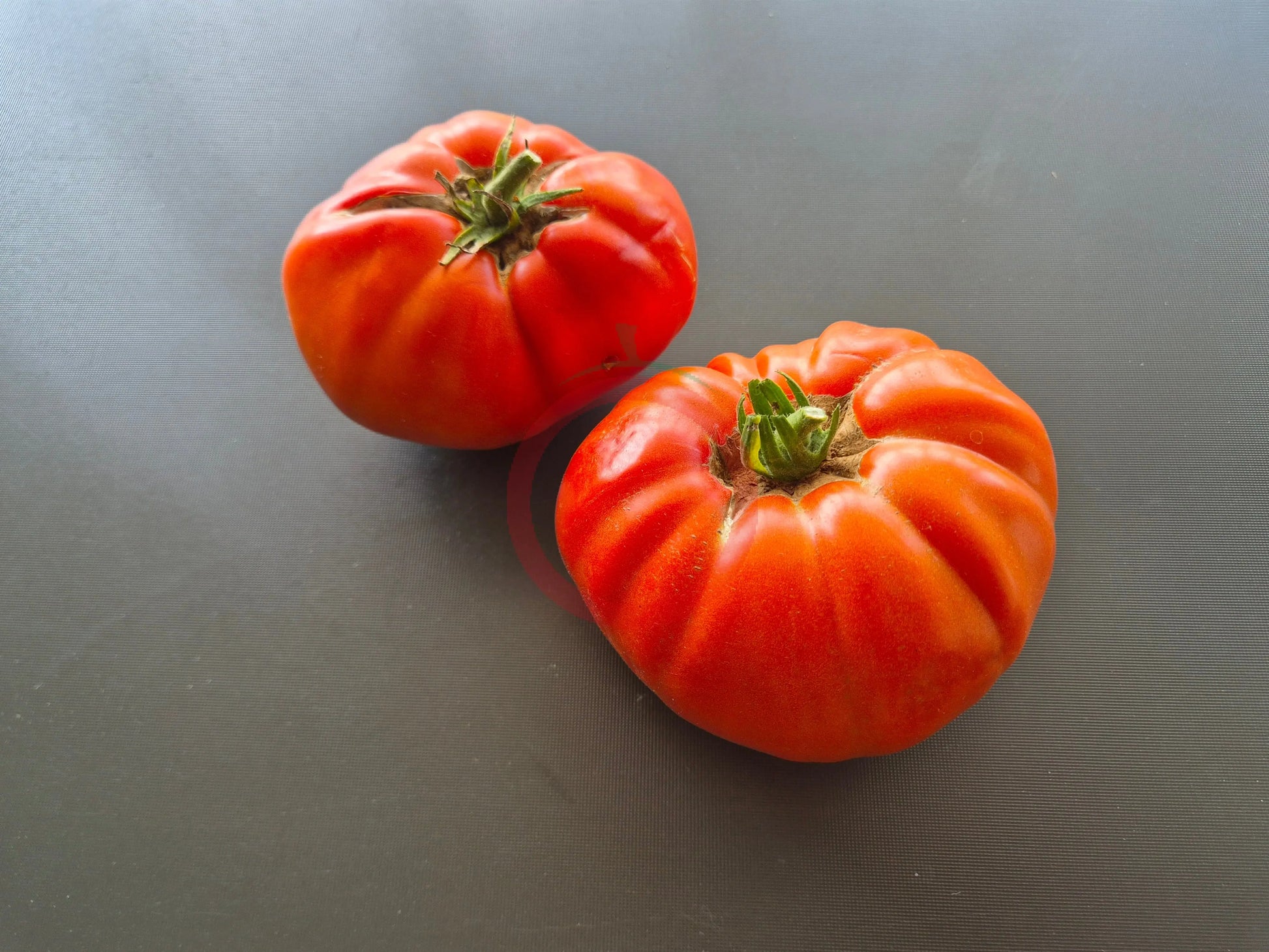Nonna Antonina DER TOMATENFLÜSTERER