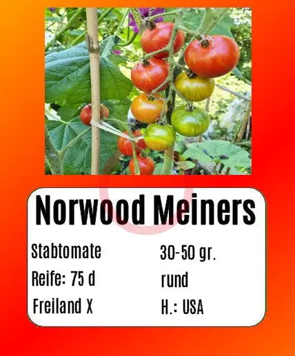 Norwood Meiners DER TOMATENFLÜSTERER