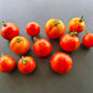 Norwood Meiners DER TOMATENFLÜSTERER