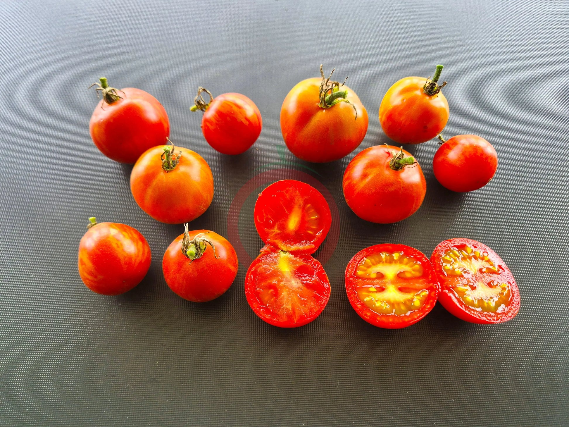 Norwood Meiners DER TOMATENFLÜSTERER