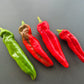 NuMex Big Jim DER TOMATENFLÜSTERER