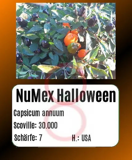 NuMex Halloween DER TOMATENFLÜSTERER