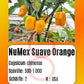 NuMex Suave Orange DER TOMATENFLÜSTERER