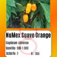 NuMex Suave Orange DER TOMATENFLÜSTERER