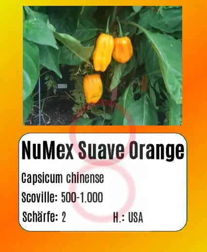 NuMex Suave Orange DER TOMATENFLÜSTERER