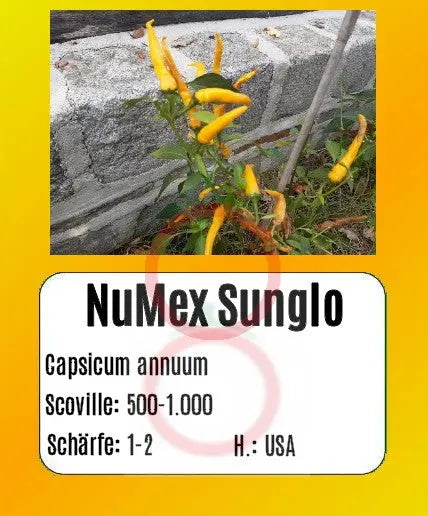 NuMex Sunglo DER TOMATENFLÜSTERER