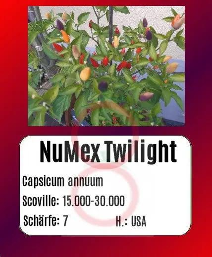 NuMex Twilight DER TOMATENFLÜSTERER