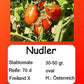 Nudler DER TOMATENFLÜSTERER