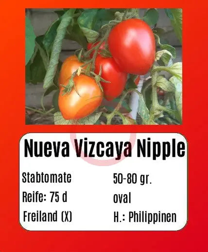 Nueva Vizcaya Nipple DER TOMATENFLÜSTERER
