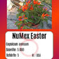 Numex Easter DER TOMATENFLÜSTERER