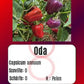 Oda DER TOMATENFLÜSTERER