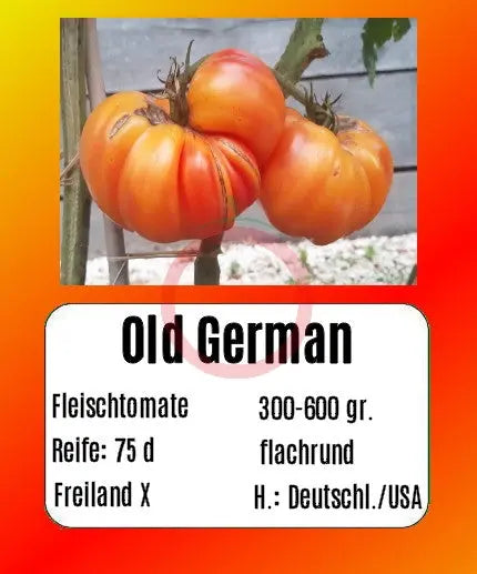 Old German DER TOMATENFLÜSTERER