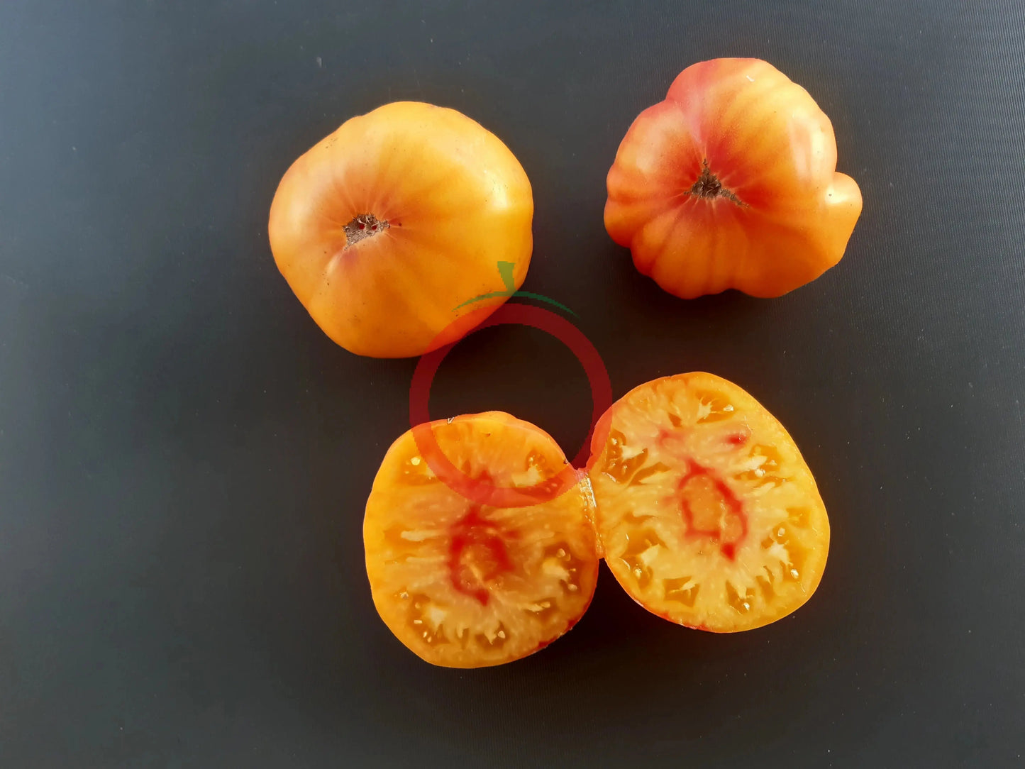 Old German DER TOMATENFLÜSTERER