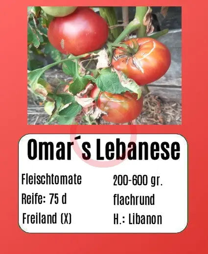Omars Lebanese DER TOMATENFLÜSTERER