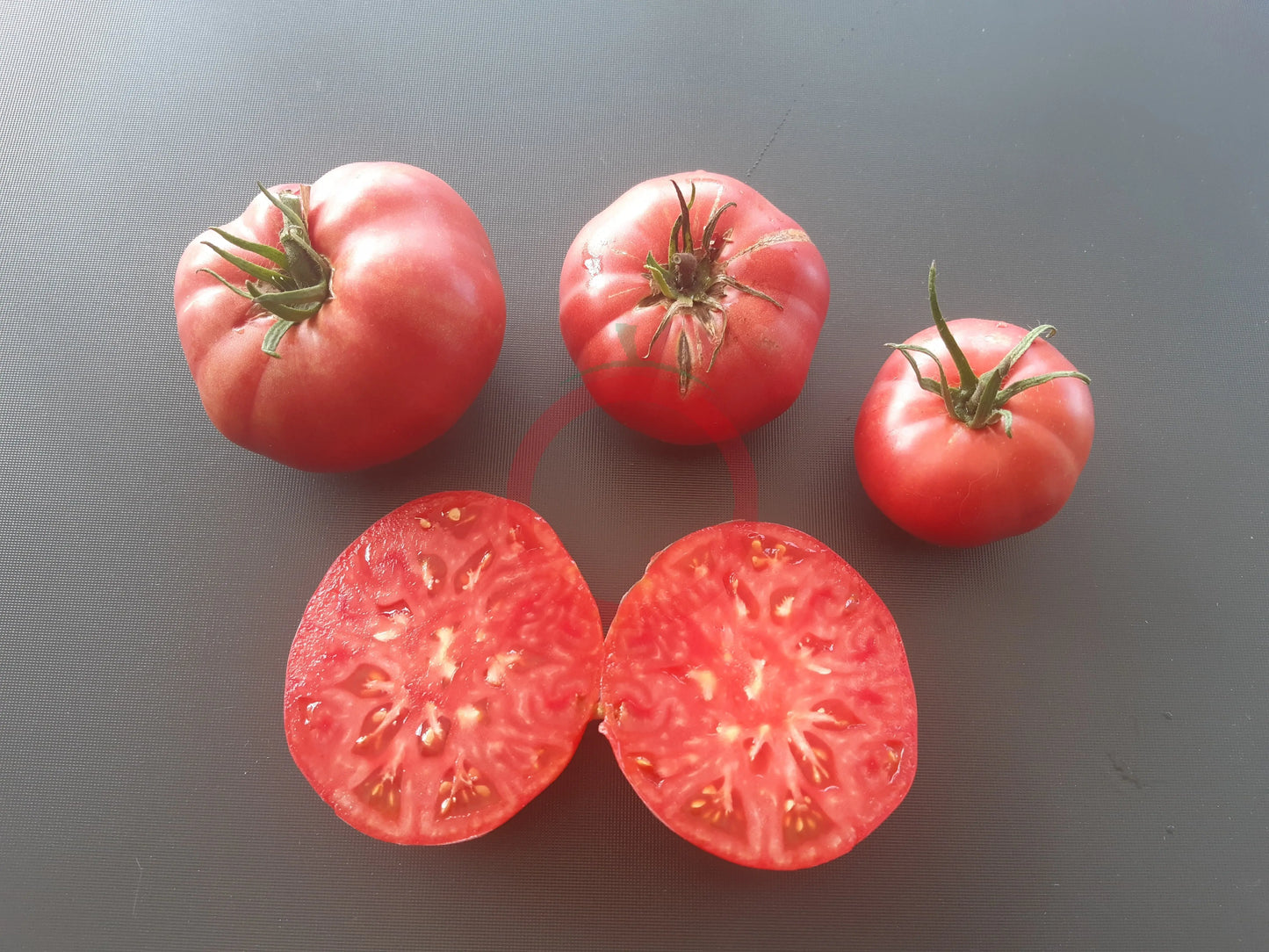 Omars Lebanese DER TOMATENFLÜSTERER