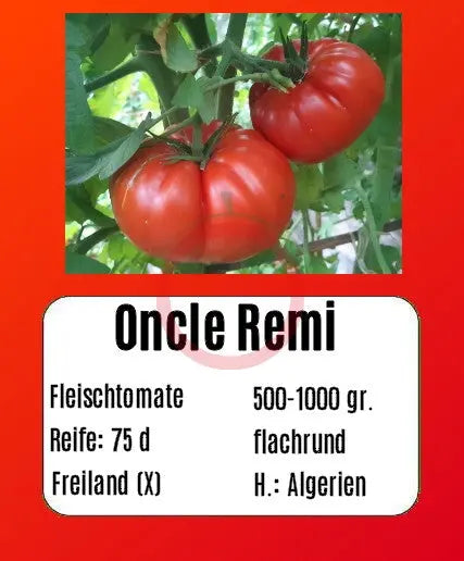 Oncle Remi DER TOMATENFLÜSTERER