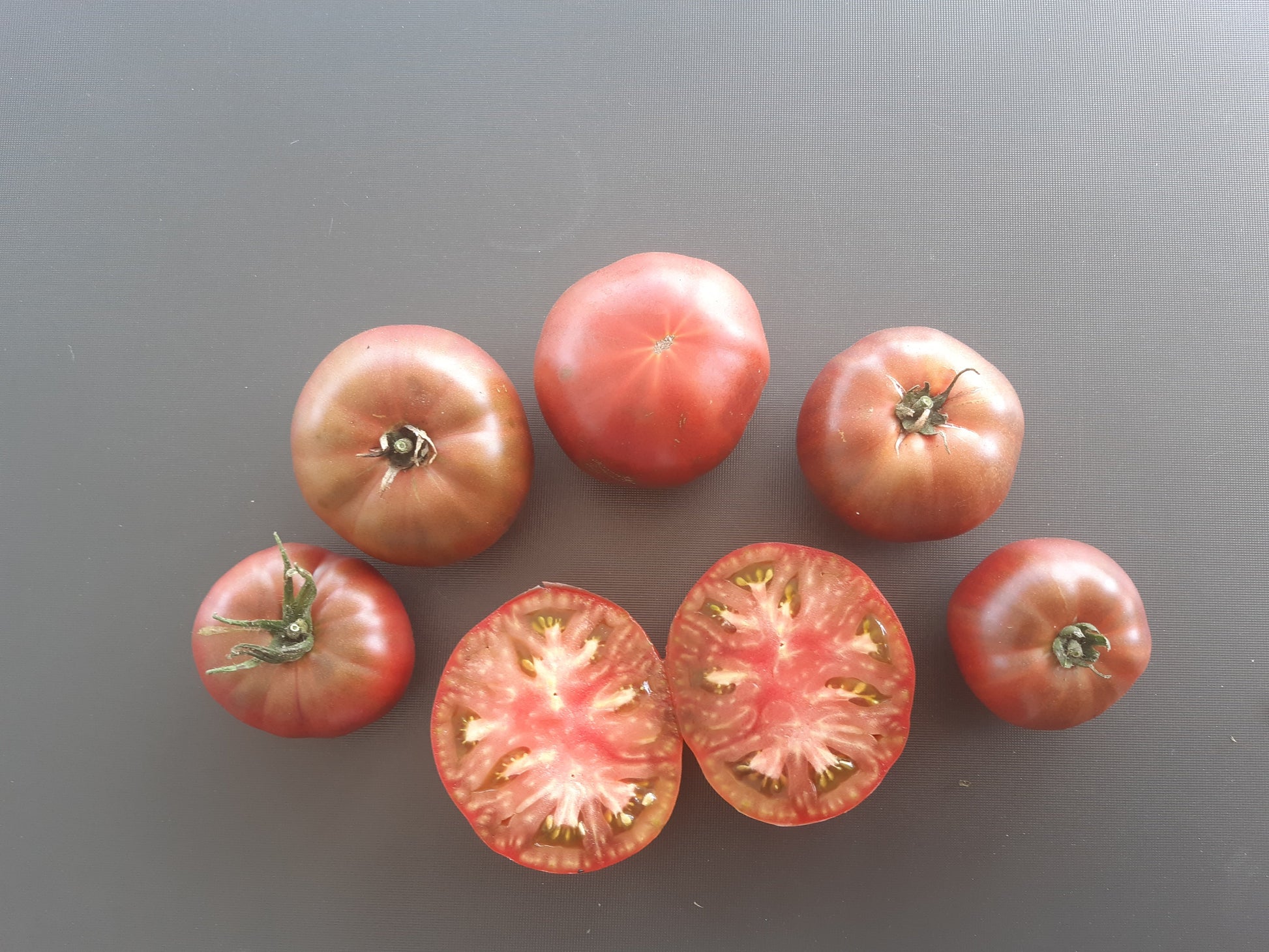 One Trick Pony DER TOMATENFLÜSTERER