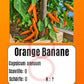 Orange Banane DER TOMATENFLÜSTERER