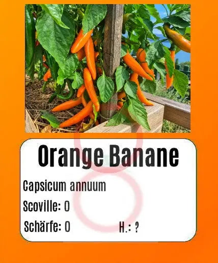 Orange Banane DER TOMATENFLÜSTERER