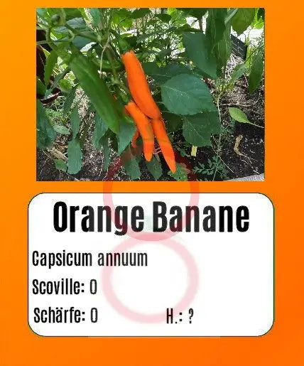 Orange Banane DER TOMATENFLÜSTERER