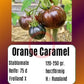 Orange Caramel DER TOMATENFLÜSTERER