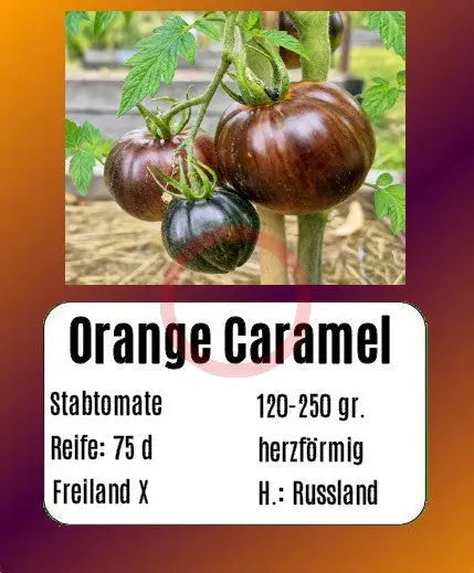 Orange Caramel DER TOMATENFLÜSTERER